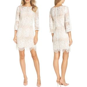 VINCE CAMUTO Lace Shift Ivory Dress - 6